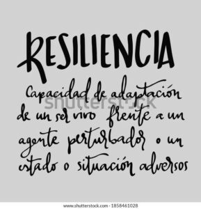 Definicion de Resiliencia image 0