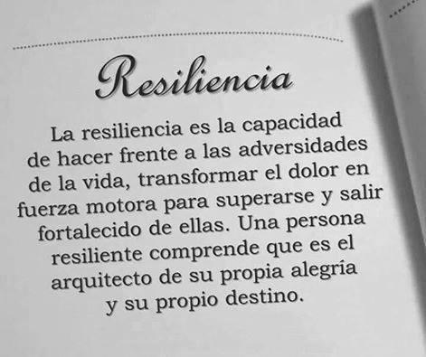 Definicion de Resiliencia image 1